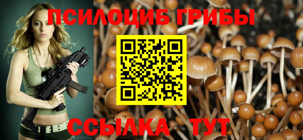 Псилоцибиновые грибы Psilocybine cubensis Орехово-Зуево