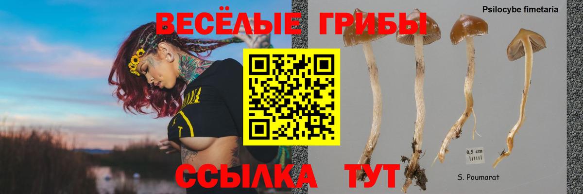 Галлюциногенные грибы Cubensis  Вход с VPN  Орехово-Зуево  Псилоцибиновые грибы мицелий 